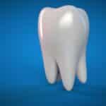 Molar Tooth