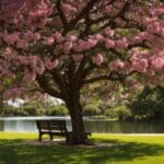 a serene lakeside park in lake worth, with a patient resting on a bench under the gentle shade of a sprawling tree, surrounded by blooming flowers and vibrant greenery, exuding calm and recovery after dental surgery.