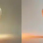 a visually striking scene featuring a split view of a pristine dental implant on one side and natural teeth on the other, illuminated by soft, diffused lighting that emphasizes their textures and details against a neutral background.