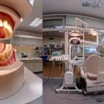 Key takeaways on gum shrinkage causes and prevention for denture wearers.