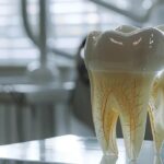 a stark dental office interior showcases a contrast between a close-up of a decayed natural tooth and a pristine denture on a glossy display surface, highlighting the resilience of synthetic materials against enamel erosion.